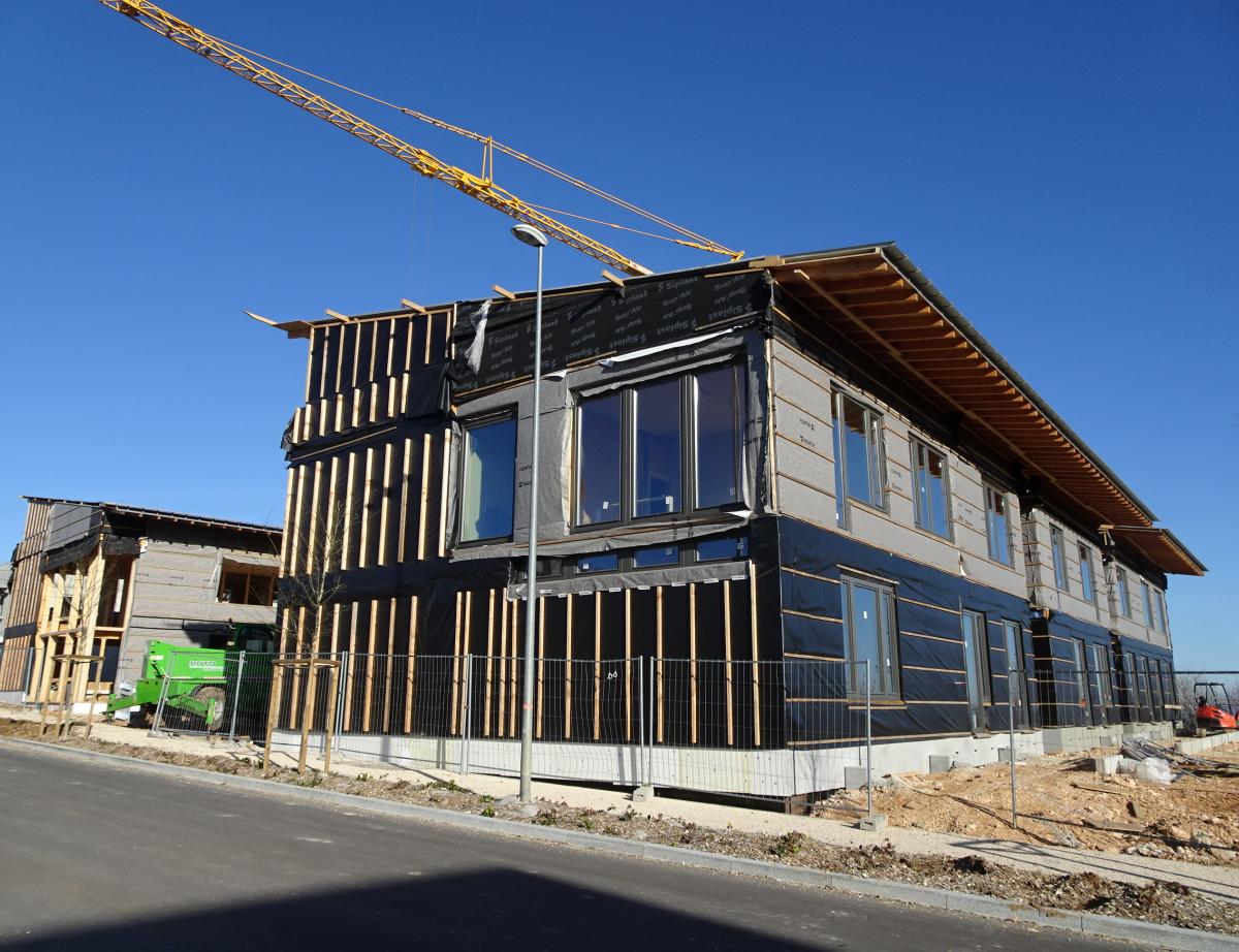 Lactivité de la filière bois reprend des couleurs